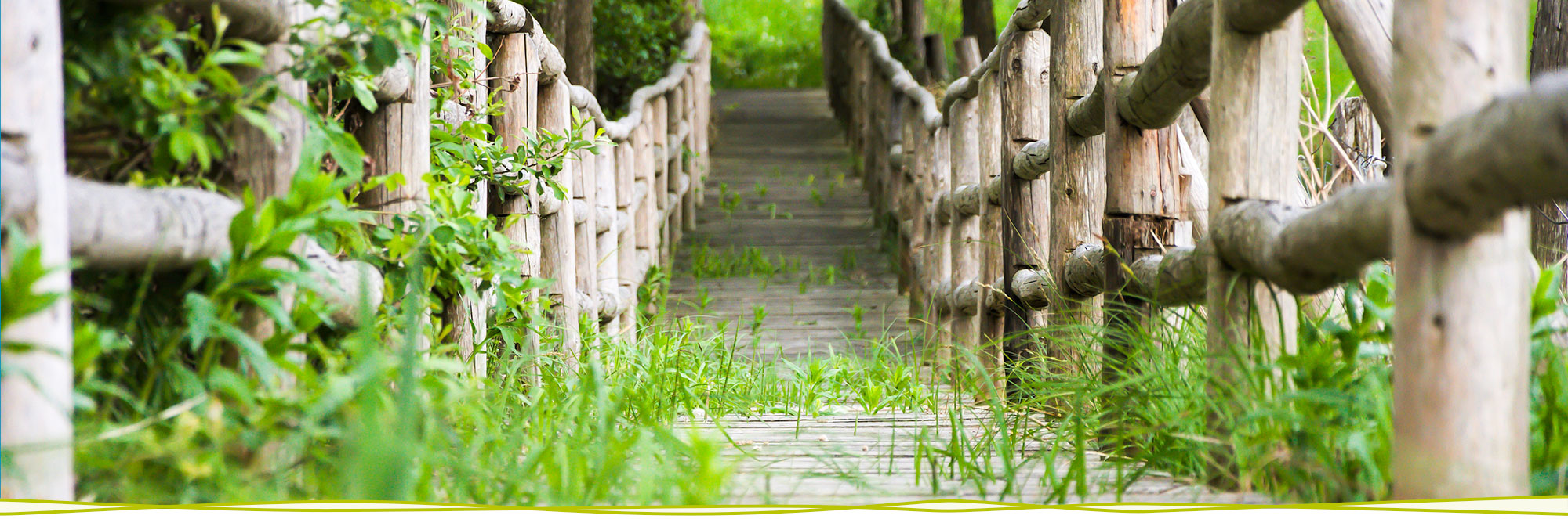 Heilpraktiker Paul Berbig Titelbild Heilpraktiker Paul Berbig Titelbild